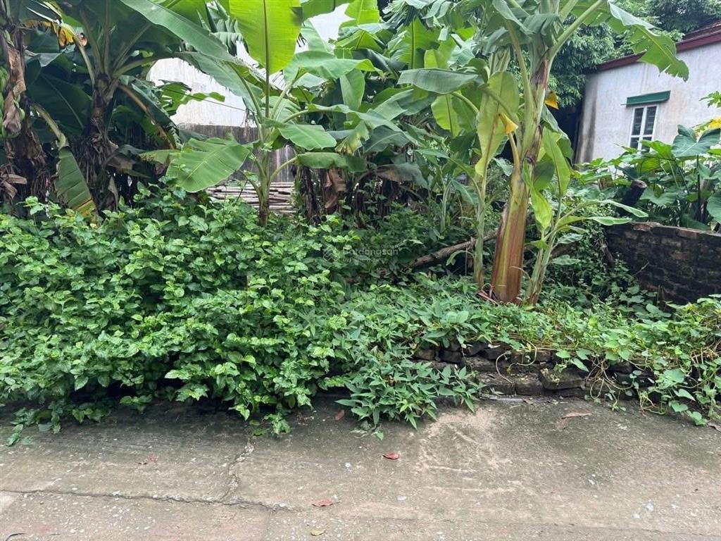 Bán đất tại đại lộ thăng long, vân côn, hoài đức, giá thỏa thuận, 42.6 m2