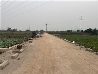 Bán đất trồng cây hàng năm tại đại lộ thăng long, 5 triệu / m2, 10000 m2