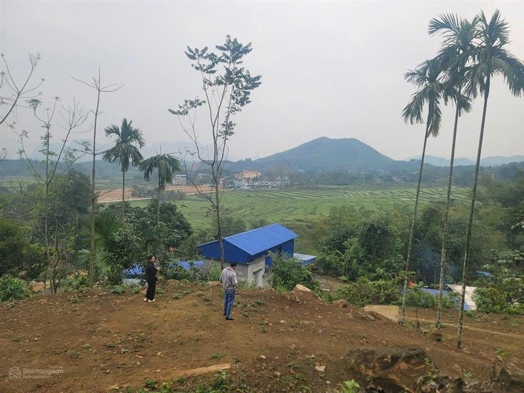 5.800m2 đất nghỉ dưỡng giá chỉ hơn 600 nghìn/m2 tại kim bôi  cơ hội đón sóng dự án lớn