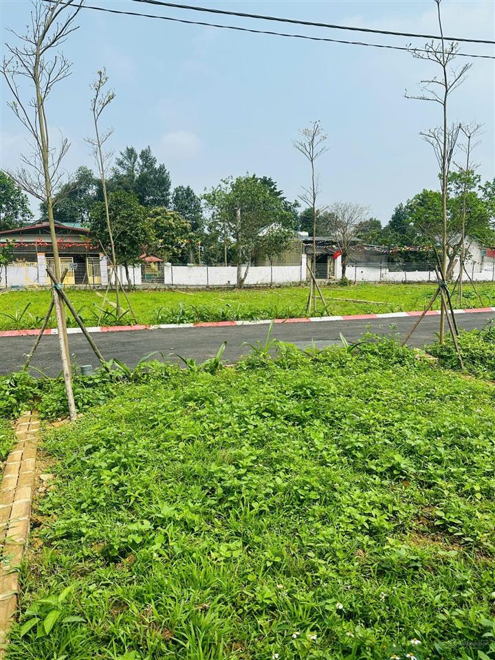 Chỉ từ 9tr/m2 sở hữu ngay đất sát kcn nhuận trạch (phú sơn)  lương sơn  hòa bình