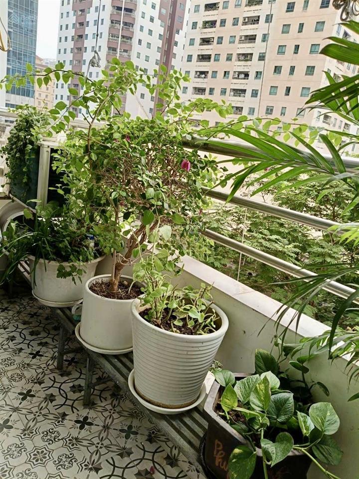 Bán căn hộ cao cấp diện tích lớn 116m2 3pn giá tốt