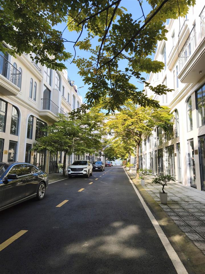 Bán nhà phố liền kề 93m2, 8 tỷ tại quách điêu, vĩnh lộc a, bình chánh, tp.hcm