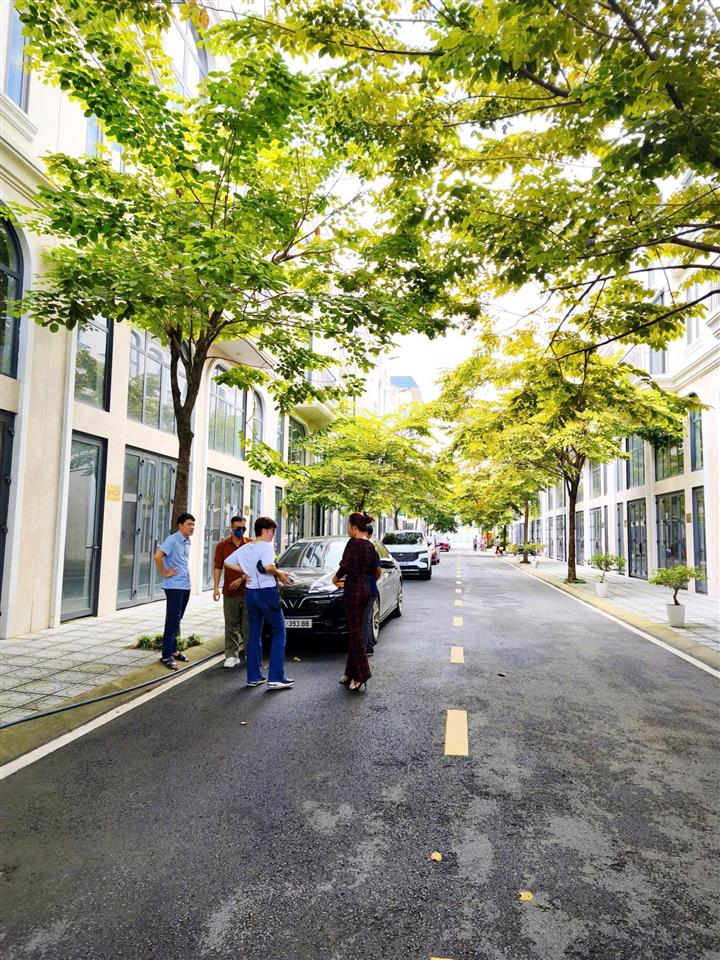 Bán nhà phố liền kề 93m2, 8 tỷ tại quách điêu, vĩnh lộc a, bình chánh, tp.hcm