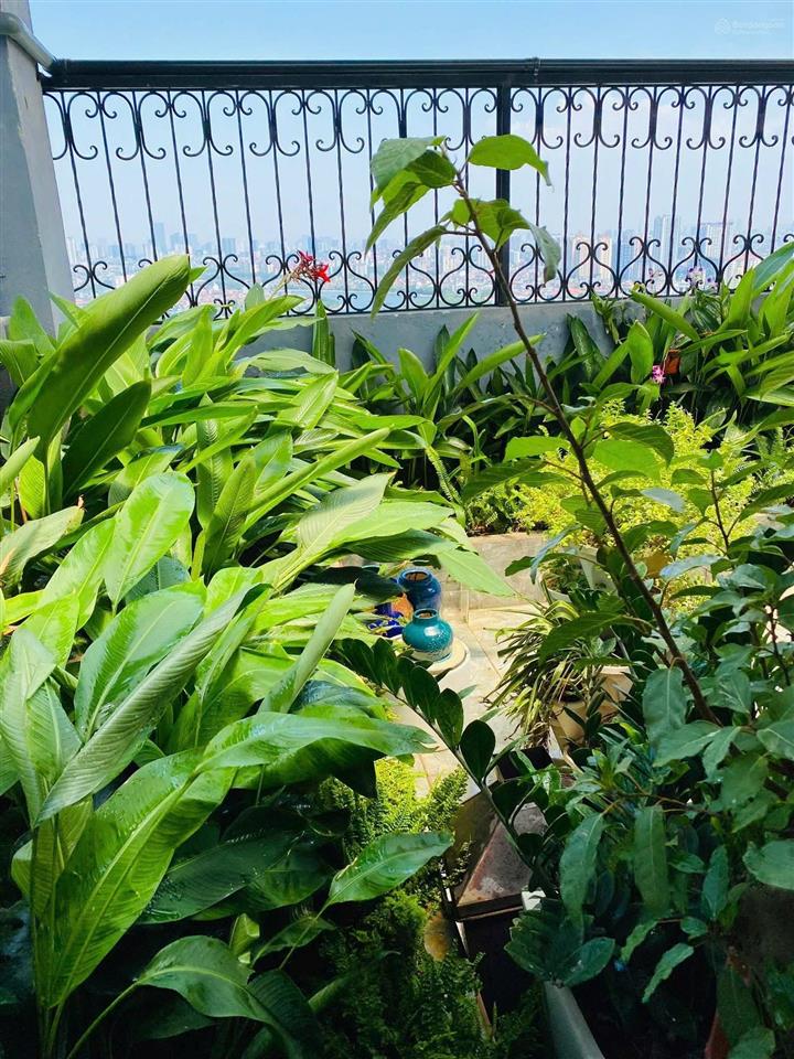 Căn diện tích rộng 160m2 tk 3pn,2 vs tại vp3 bán đảo linh đàm, hoàng mai, hà nôi