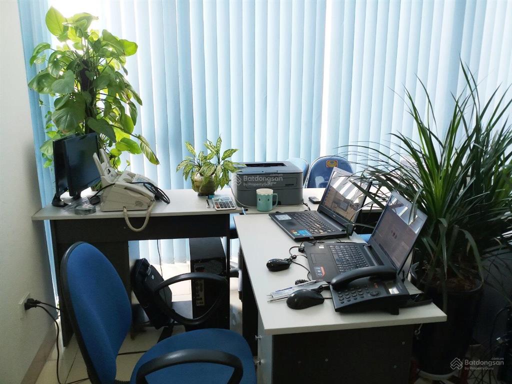Cho thuê văn phòng và văn phòng ảo tại long biên giá rẻ từ 2tr vị trí đẹp