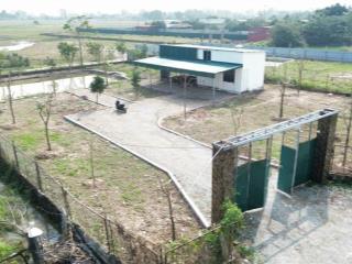 Nhà vườn sinh thái 1572m2 cấn thượng, cấn hữu, quốc oai, hn sẵn 120m2 nhà ở, ao cá, điện nươc sạch