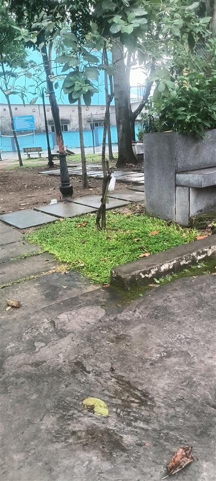 Nhà ở ngay 62m22 tầng 3 phòng ngủ.