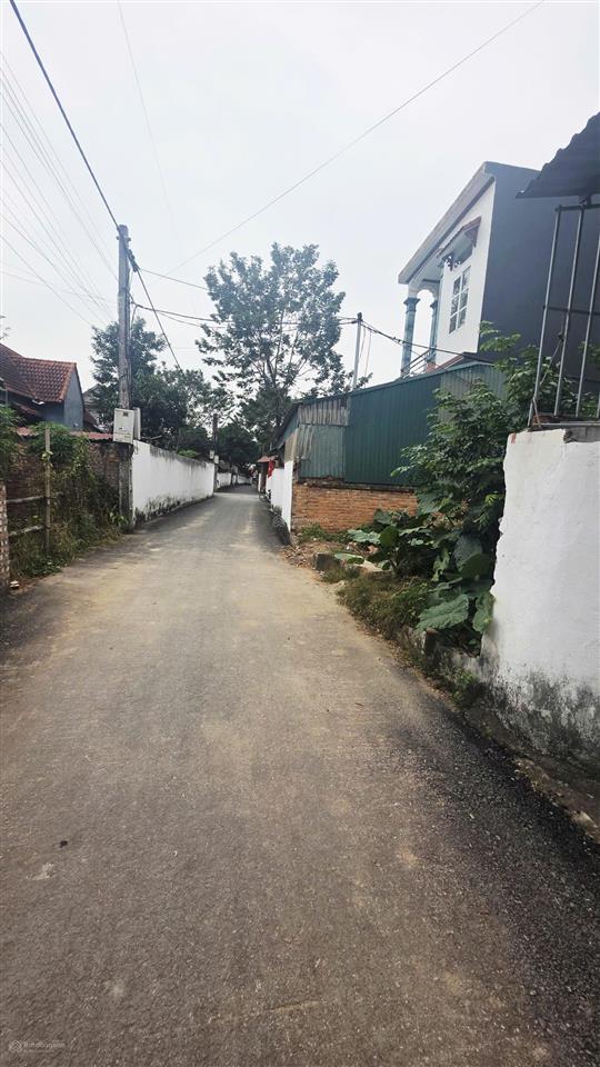 Cần bán 150m2 đất ngay gần chợ vàng, xã hoàng an, phú thọ.