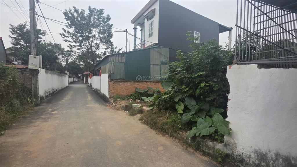 Cần bán 150m2 đất ngay gần chợ vàng, xã hoàng an, phú thọ.
