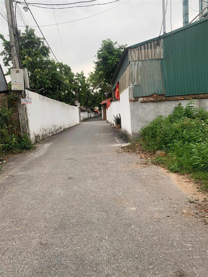 Cần bán 150m2 đất ngay gần chợ vàng, xã hoàng an, phú thọ.