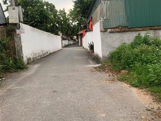 Cần bán 150m2 đất ngay gần chợ vàng, xã hoàng an, phú thọ.