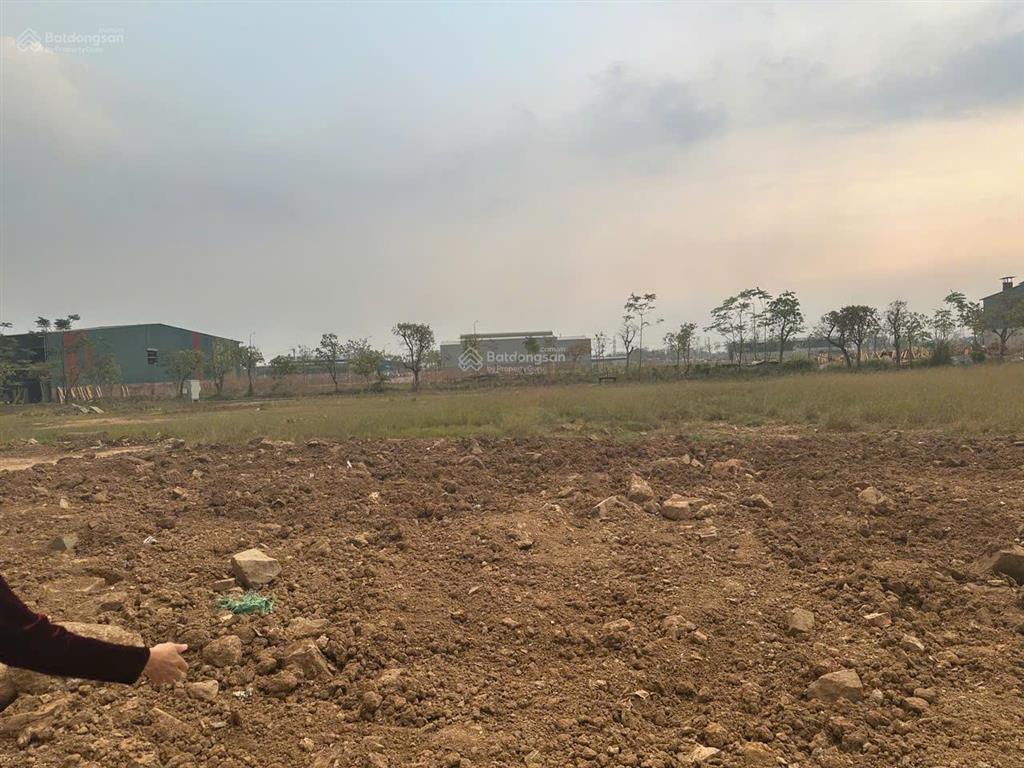 Cần bán ô đất 500m2  cụm công nghiệp làng nghề minh phương, yên lạc, vĩnh phúc