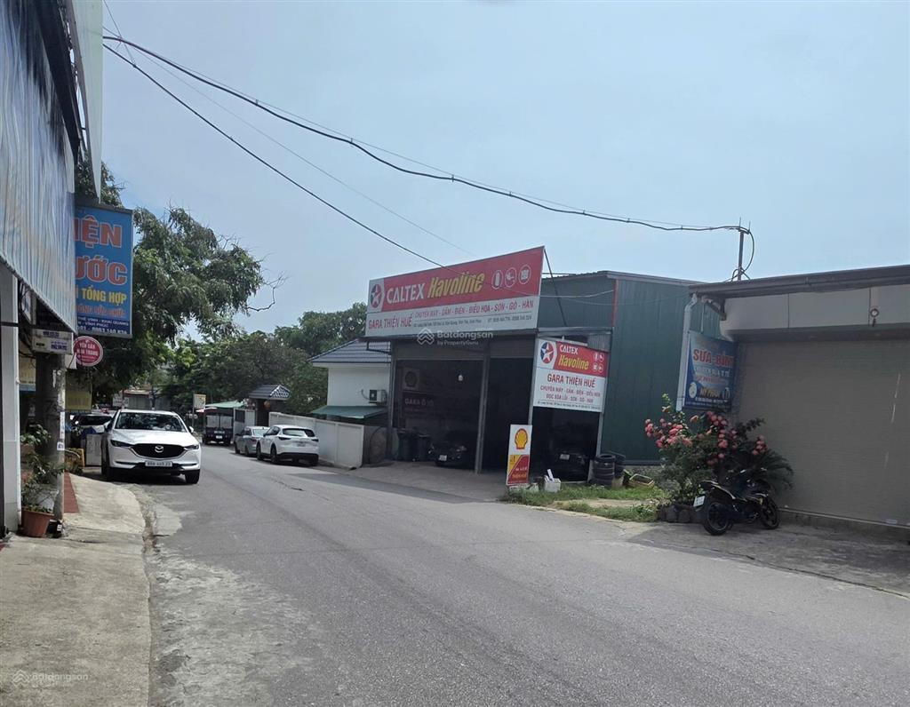 Bán đất tại lương thế vinh, vĩnh phúc, phú thọ, giá thỏa thuận, 100m2, hàng hiếm đẹp
