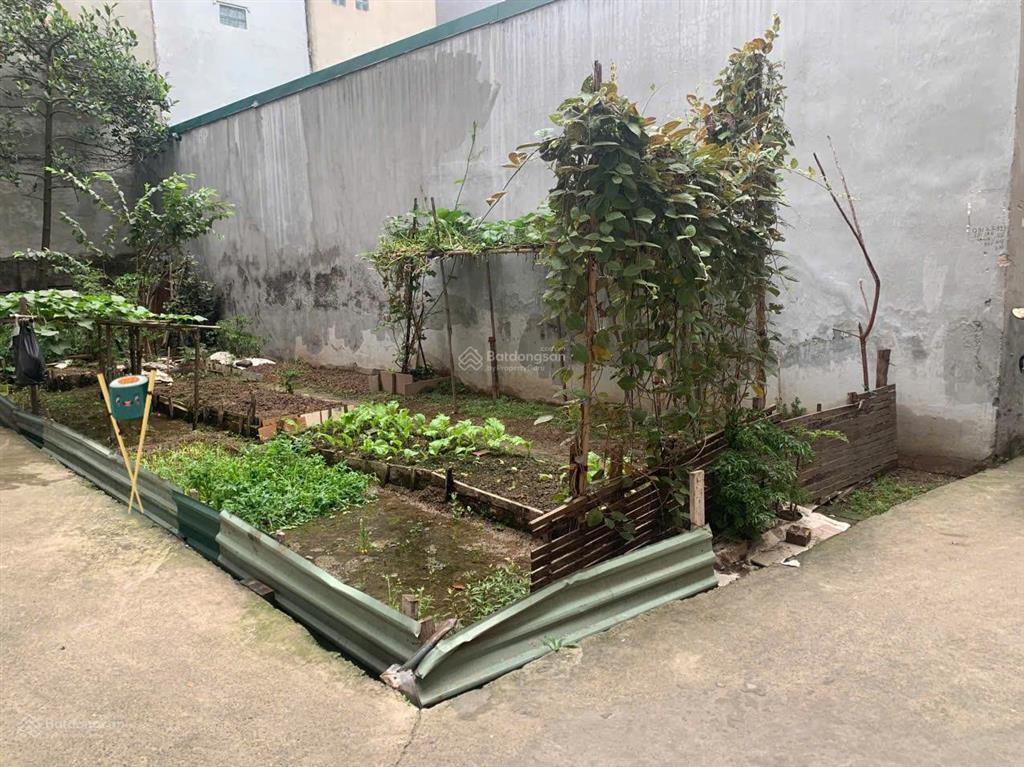 Bán đất phú thượng tây hồ lô góc. sát ciputra. 150m mt 5. oto vào đất. giá 23.5 tỷ.