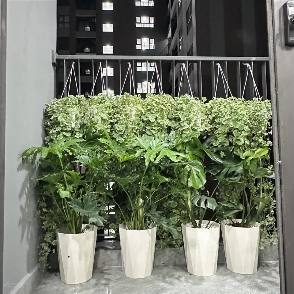 Chính chủ cho thuê căn hộ a&t sky garden tại lái thiêu. 2 phòng ngủ, 2 wc tiện ích đầy đủ