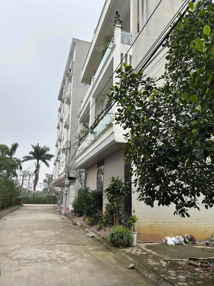 Bán lô đất đấu giá dư dụ thanh thùy thanh oai, hn