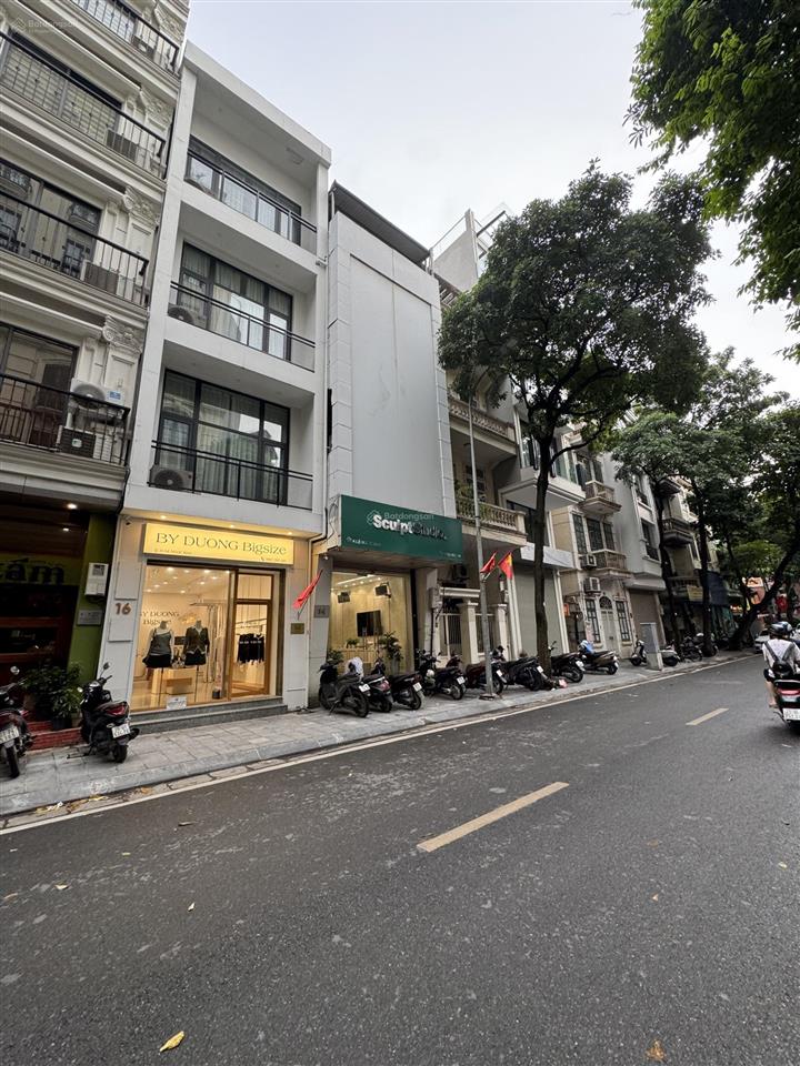 Bán mặt phố lê ngọc hân,phường hai ba trưng , dt 71m 6,5 tầng thang máy, giá thoả thuận