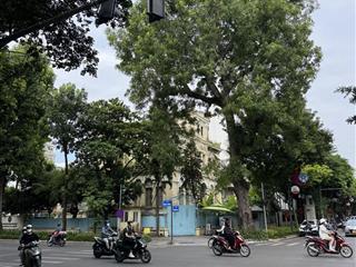 Bán mặt phố thợ nhuộm, hoàn kiếm, dt 140m2 5 tầng mặt tiền 10m, giá 120 tỷ