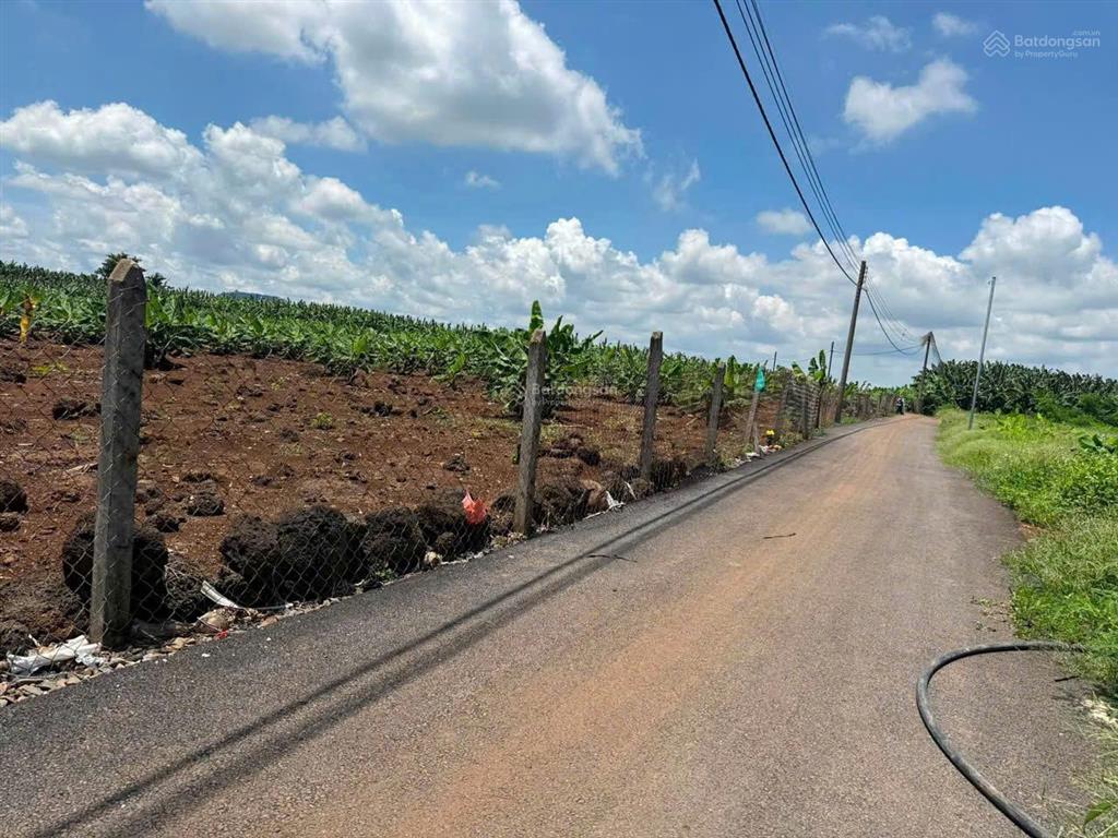 Bán mấy lô đất xã bàu hàm  trảng bom  đồng nai