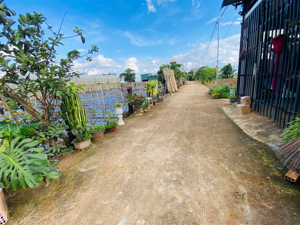 Bán 112,5m2 đất tổ 34  thị trấn Liên Nghĩa  Đức Trọng  Lâm Đồng giá 1 tỷ 2 triệu