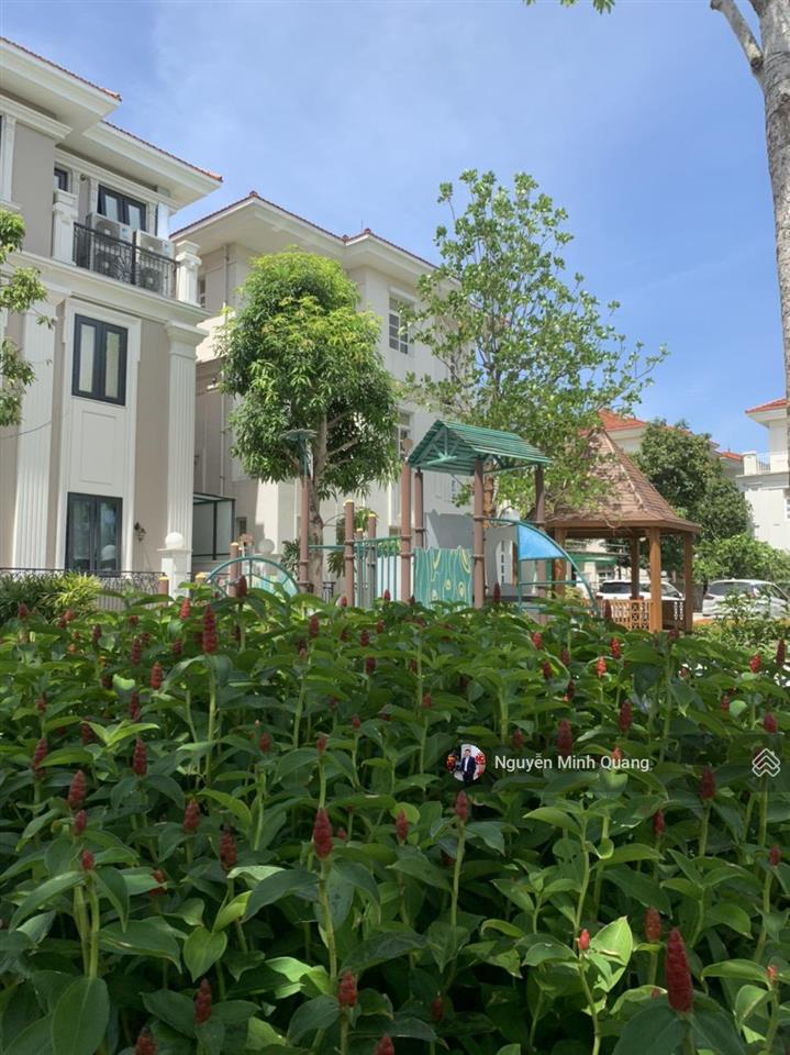 Hàng hiếm bt1 nam an khánh  biệt thự 210m đã sửa thông tầng  giá chỉ 2xx triệu m