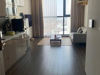 Em cần bán gấp căn hộ 1pn1vs full nội thất diện tích40m tại vinhomes symphony, giá 4,65 tỷ