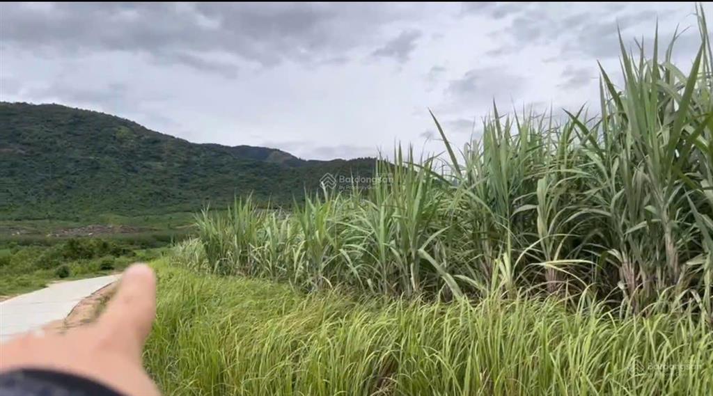 Cần bán đất tại thôn buôn sim, xã tây ninh hòa (ninh tây) có dt 4.995 m2
