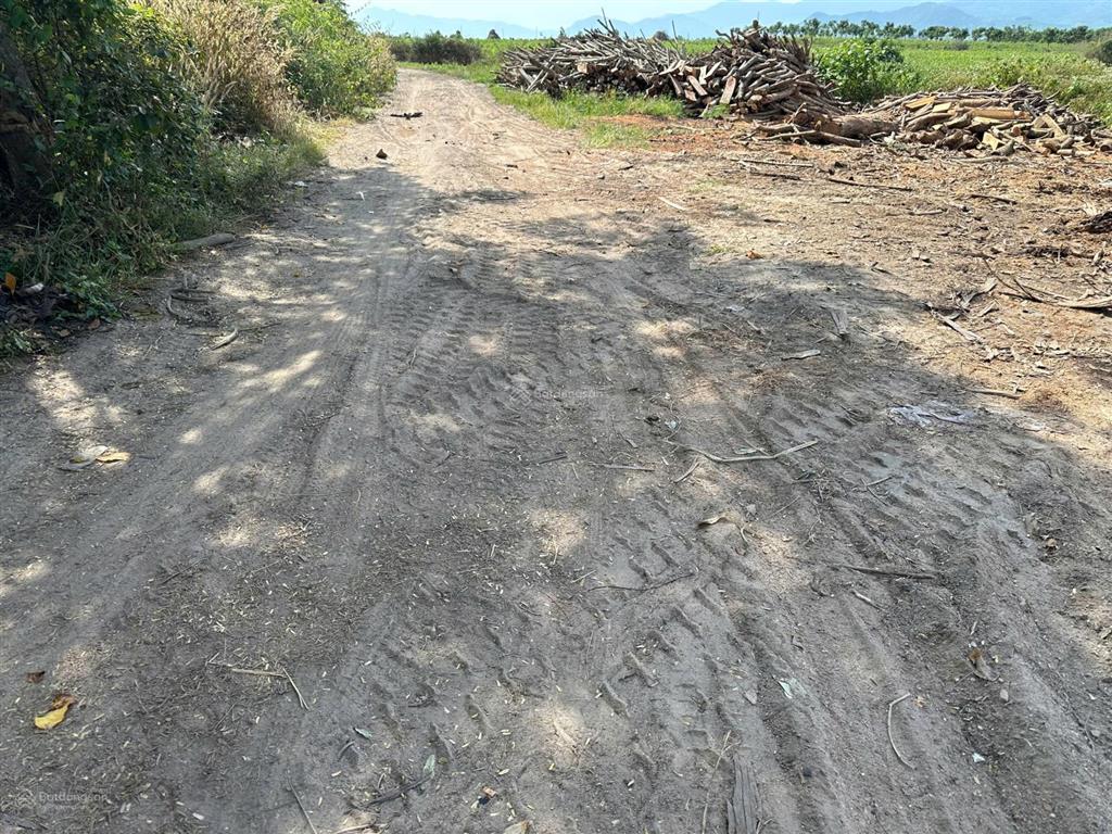 Bán đất xã ninh tây có dt 10.000 m2 tại thôn buôn lác