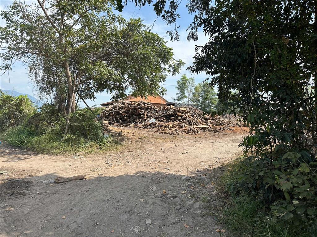 Bán đất xã ninh tây có dt 10.000 m2 tại thôn buôn lác