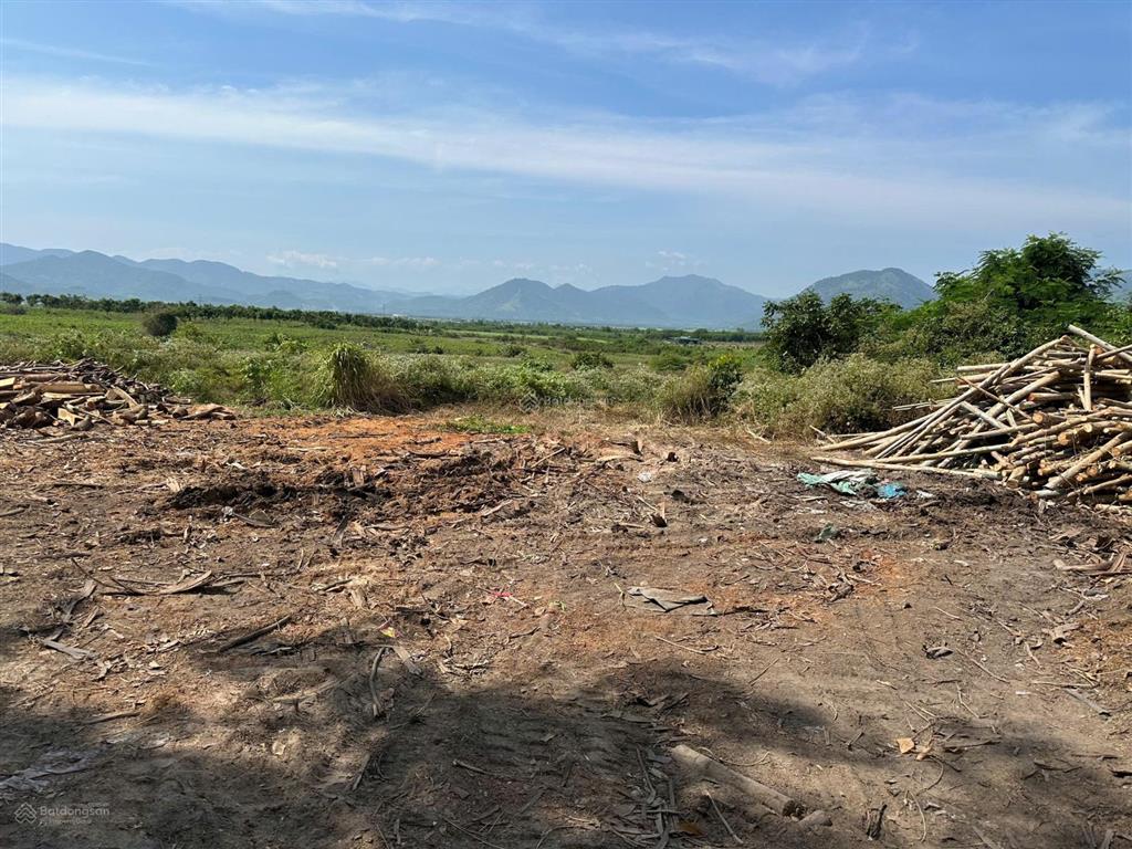 Bán đất xã ninh tây có dt 10.000 m2 tại thôn buôn lác