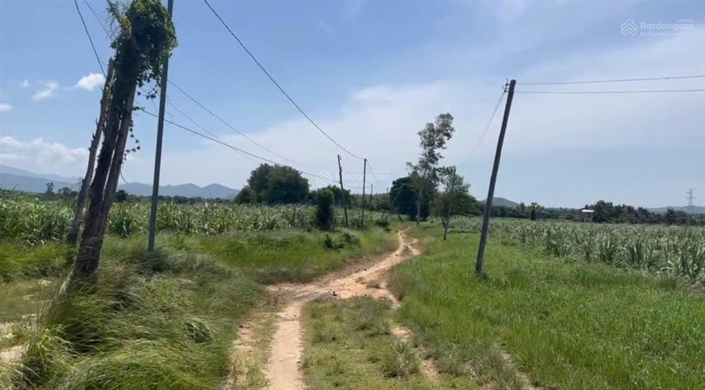 Bán đất nông nghiệp xã ninh tây có dt 13.072m2 tại thôn xóm mới