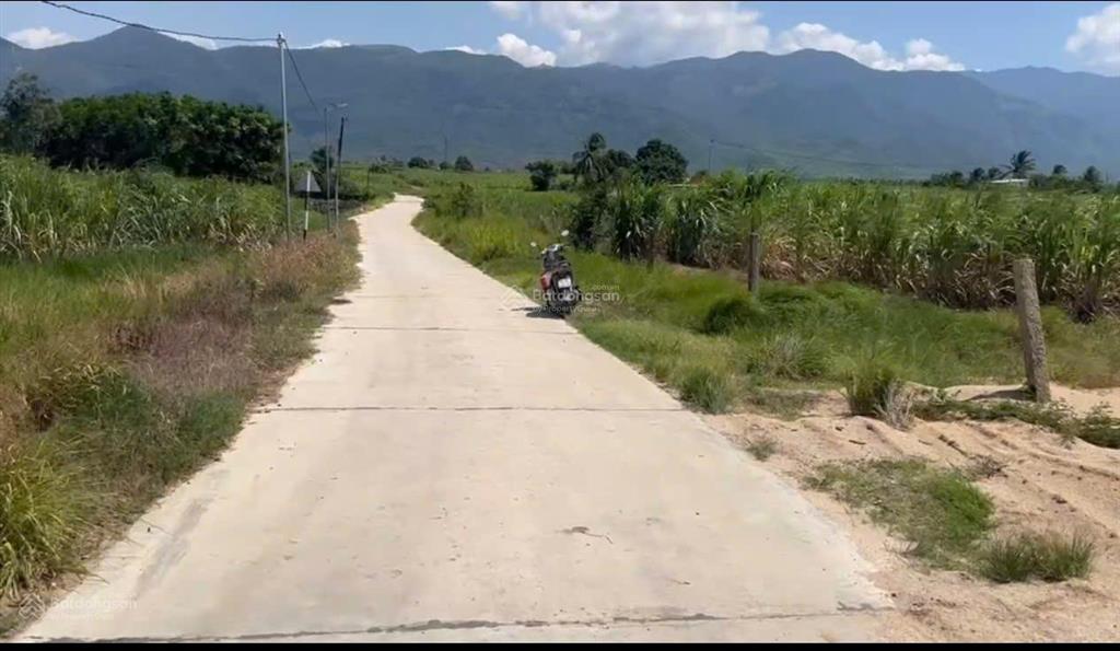 Bán đất nông nghiệp xã ninh tây có dt 13.072m2 tại thôn xóm mới