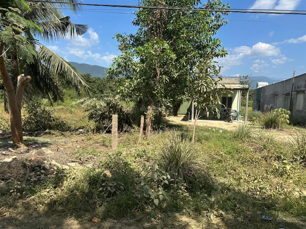 Bán đất có thổ cư xã ninh tây có dt 4.482 m2, có 500m2 thổ cư