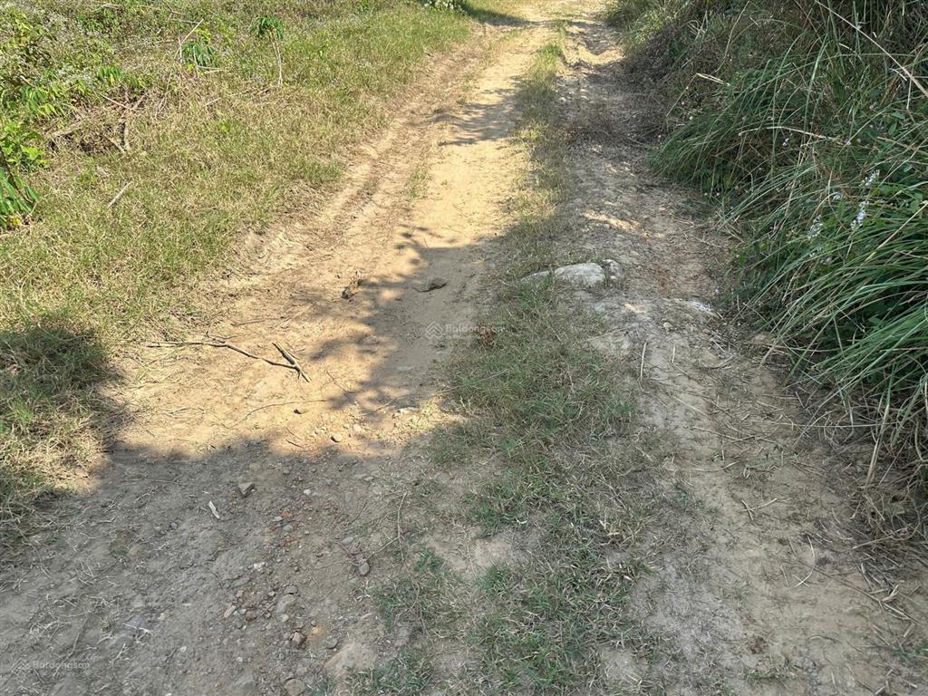 Bán đất xã ninh tây có dt 19.618 m2 tại thôn xóm mới
