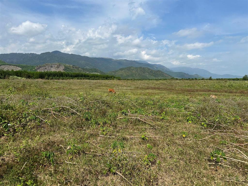 Bán đất xã ninh tây có dt 19.618 m2 tại thôn xóm mới