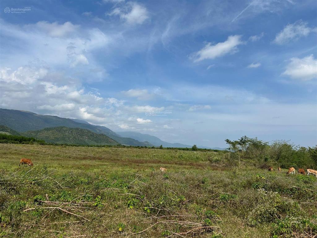 Bán đất xã ninh tây có dt 19.618 m2 tại thôn xóm mới