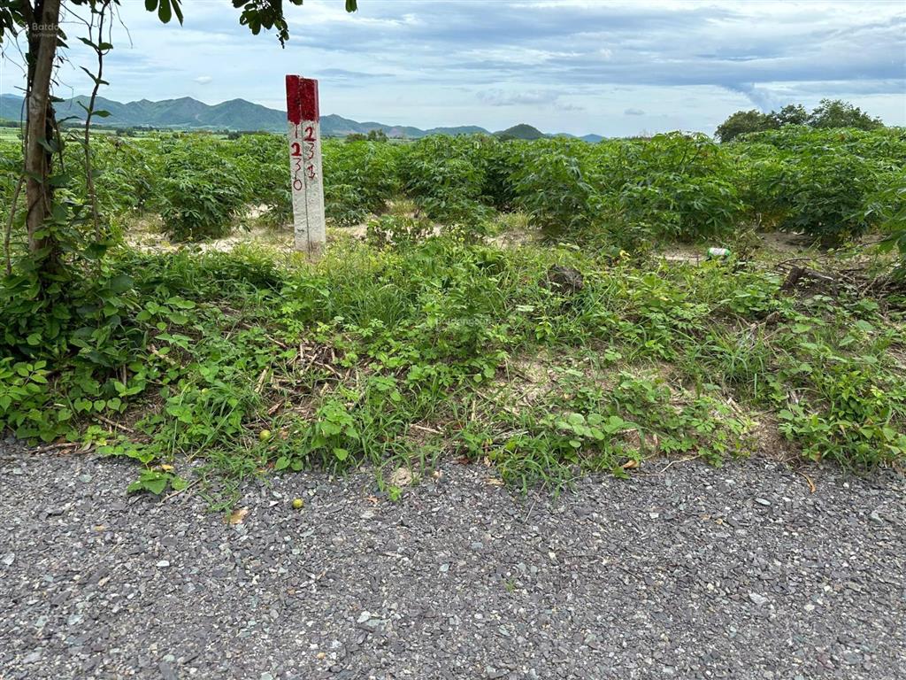Bán đất xã ninh tây có dt 3.694 m2 thuộc thôn buôn lác
