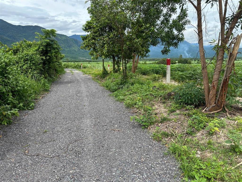 Bán đất xã ninh tây có dt 3.694 m2 thuộc thôn buôn lác