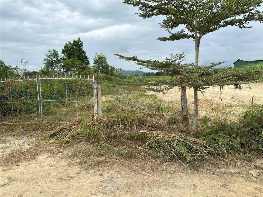 Cần bán lô đất xã diên lâm (diên đồng), dt 500 m2