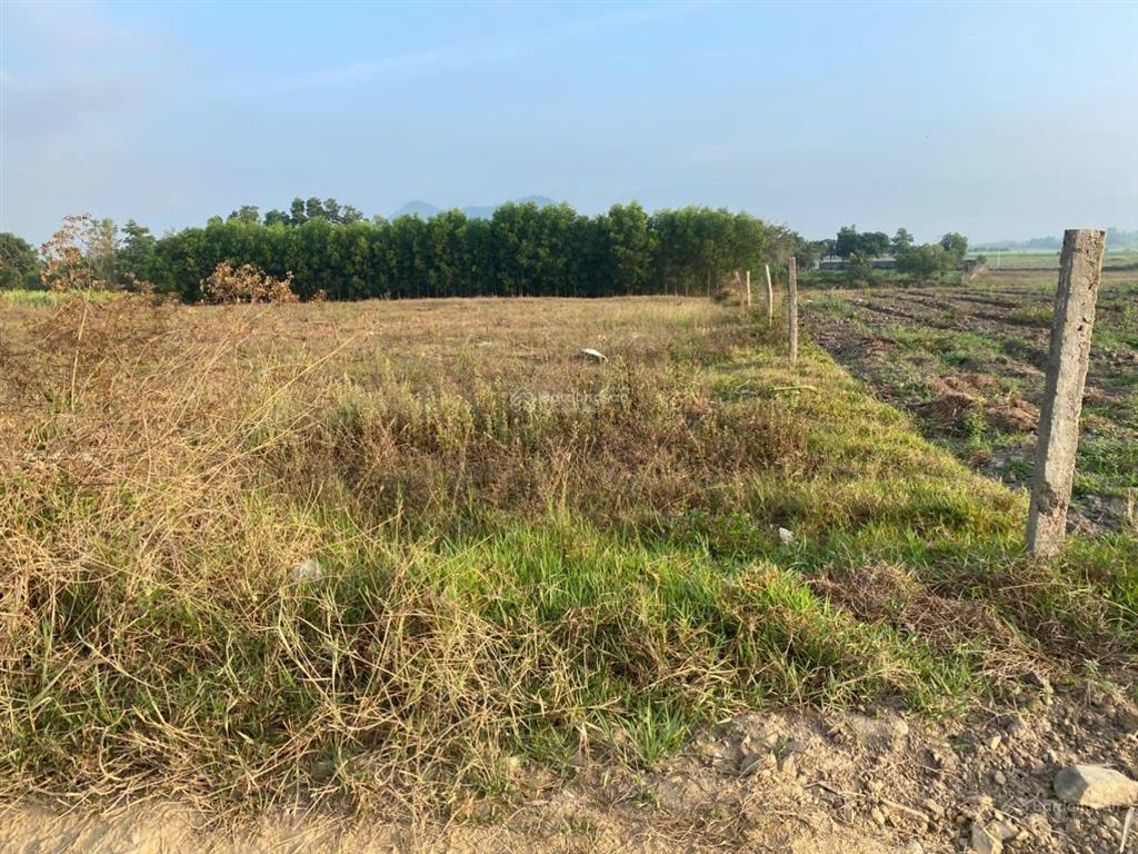 12.563 m2 đất vườn thôn buôn đung, xã tây ninh hòa, khánh hòa