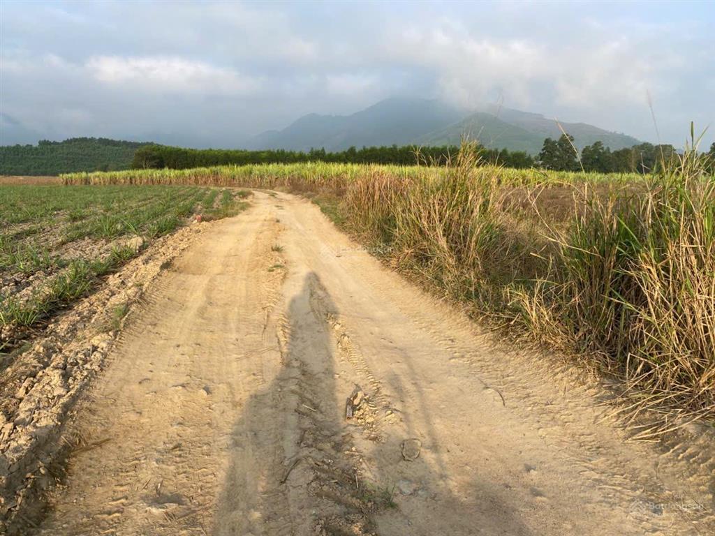 12.563 m2 đất vườn thôn buôn đung, xã tây ninh hòa, khánh hòa