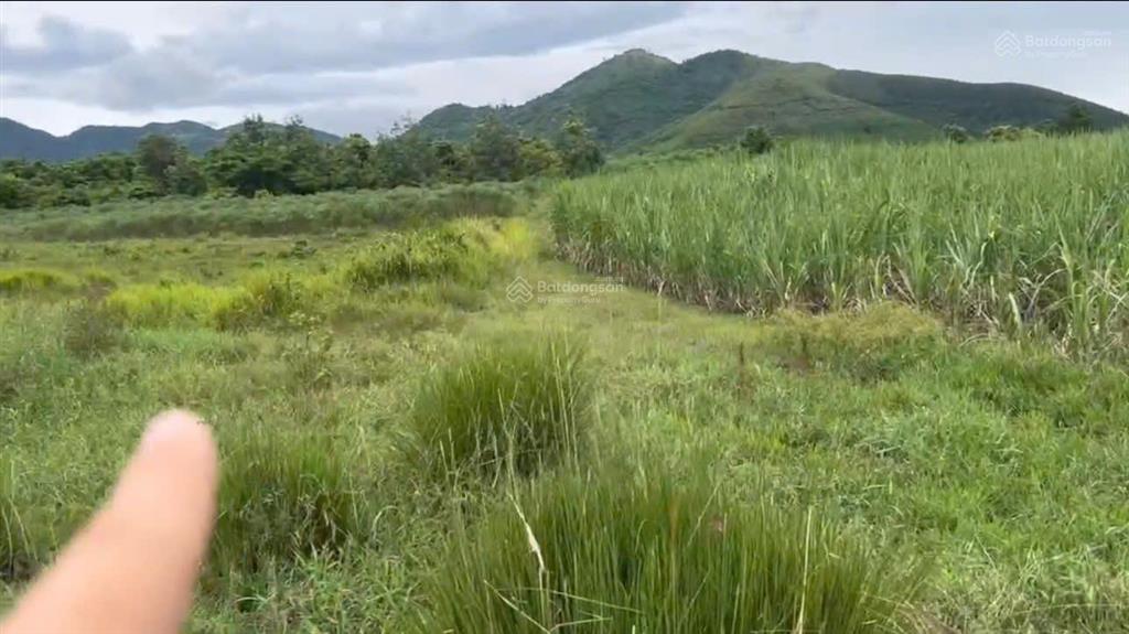 Hơn 19.602 m2 đất xã tây ninh hòa, khánh hòa
