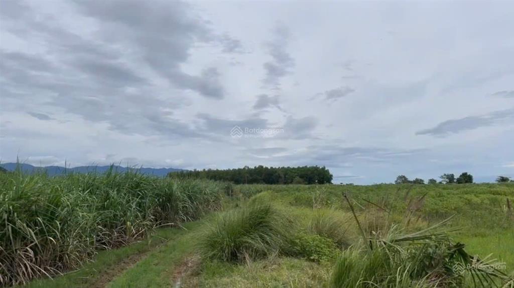 Hơn 19.602 m2 đất xã tây ninh hòa, khánh hòa