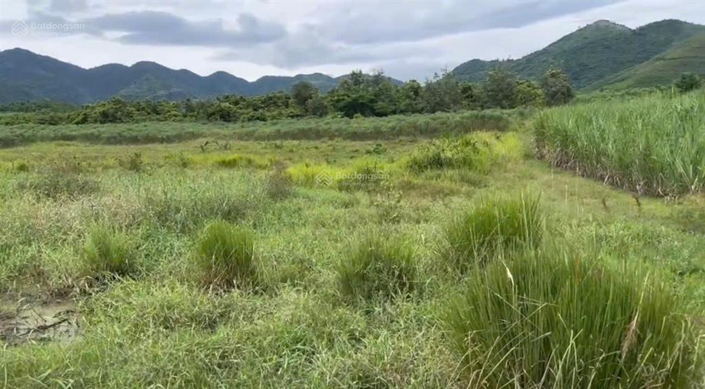 Hơn 19.602 m2 đất xã tây ninh hòa, khánh hòa