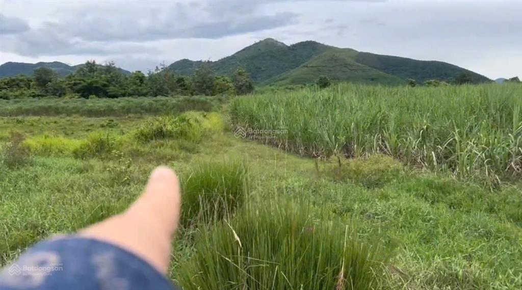 Hơn 19.602 m2 đất xã tây ninh hòa, khánh hòa