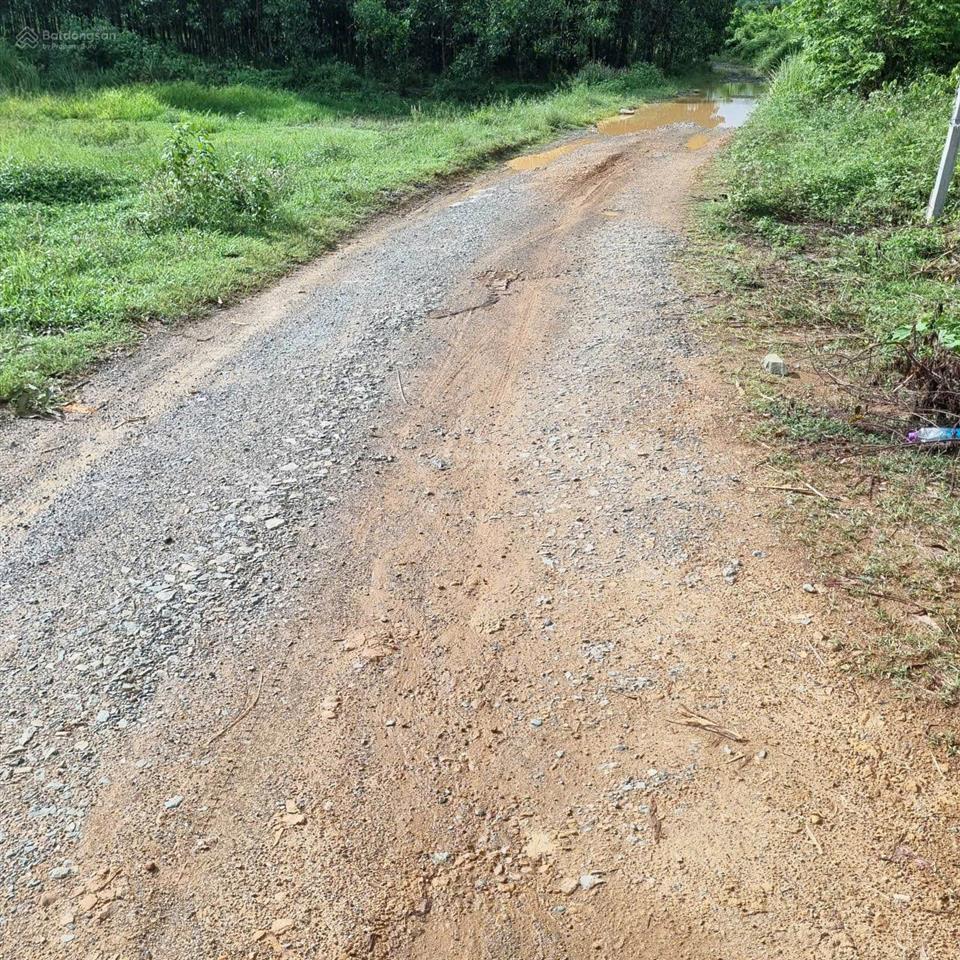 Bán gấp lô đất xã sông cầu, tại thôn tây nam gần ql27c, huyện khánh vĩnh