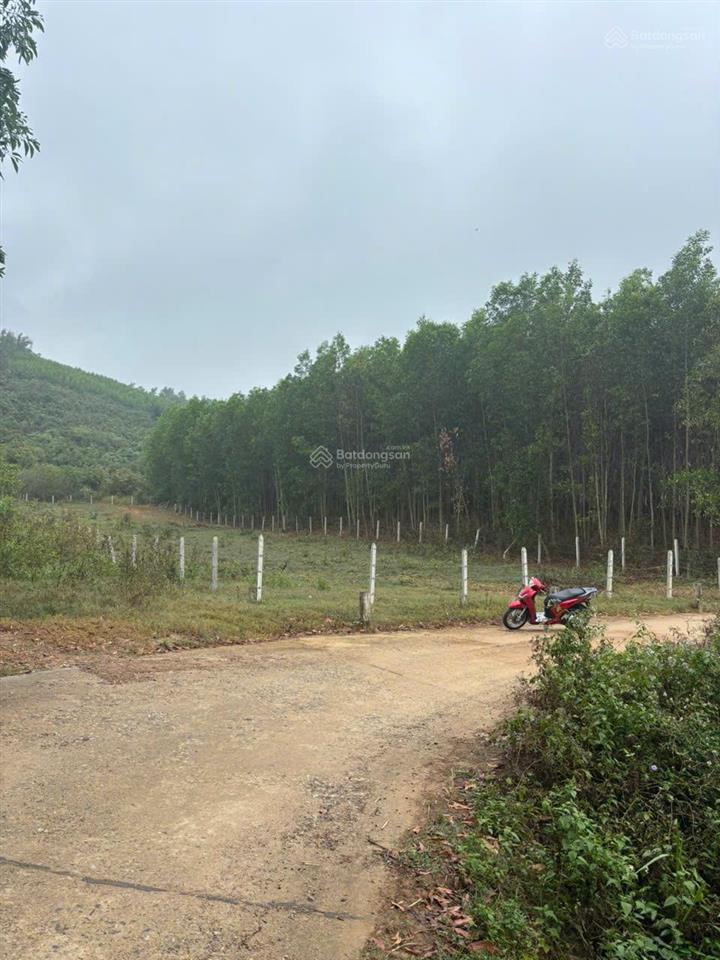 Cần bán lô đất xã diên đồng, diên khánh, dt 1.169 m2