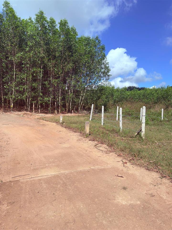 Cần bán lô đất xã diên đồng, diên khánh, dt 1.169 m2