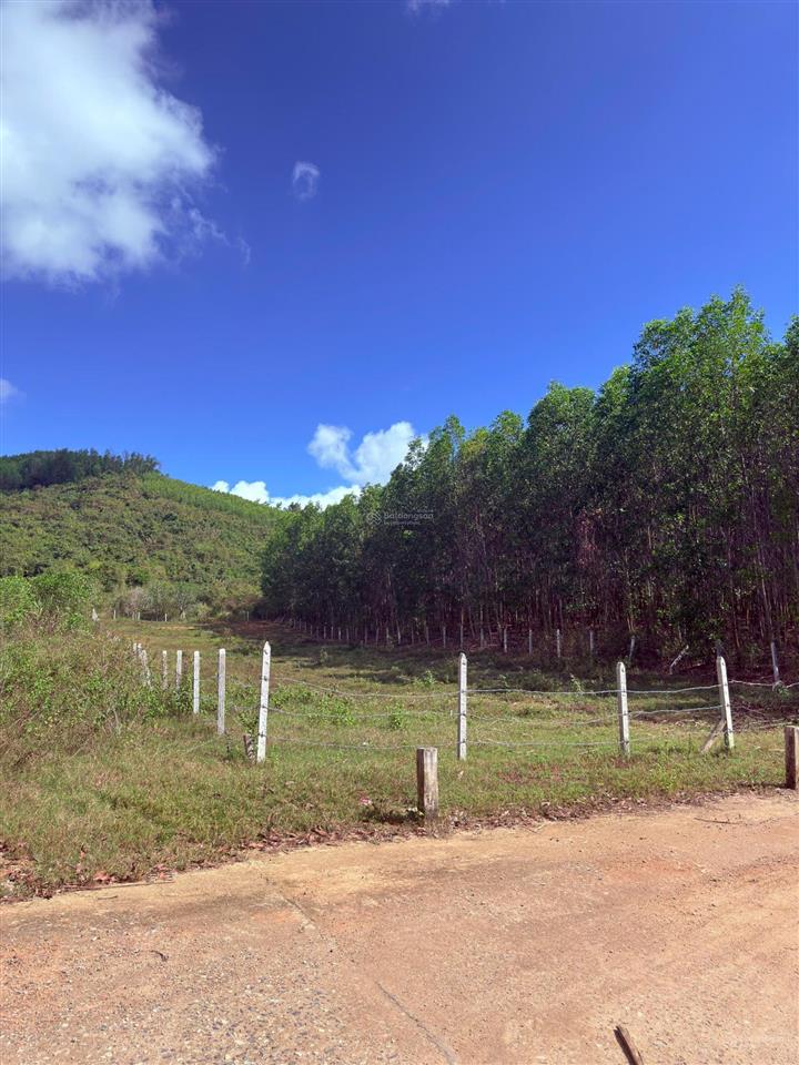 Cần bán lô đất xã diên đồng, diên khánh, dt 1.169 m2
