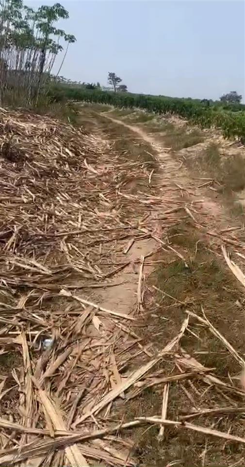 12.001 m2 đất vườn thôn nông trường, xã tây ninh hòa (ninh sim), khánh hòa
